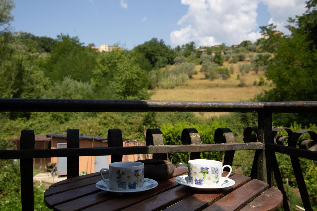 B&B Villa Il Noce Picinisco Kültér fotó