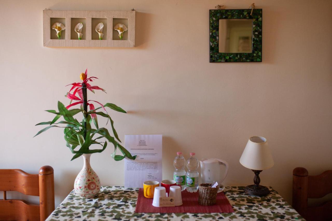 B&B Villa Il Noce Picinisco Kültér fotó