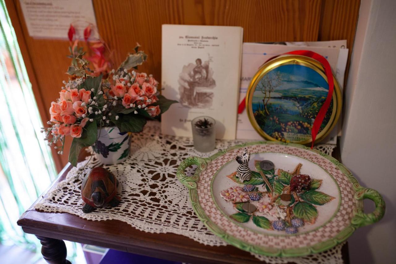 B&B Villa Il Noce Picinisco Kültér fotó